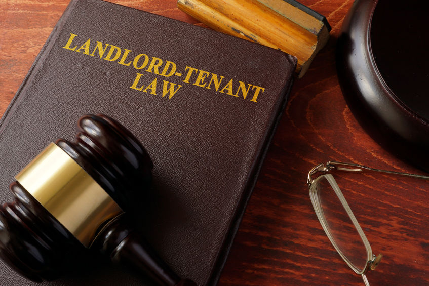 What You Should Know About TenantLandlord Law and Disputes